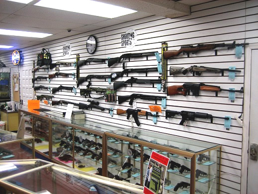 Your Premier Online Gun Store